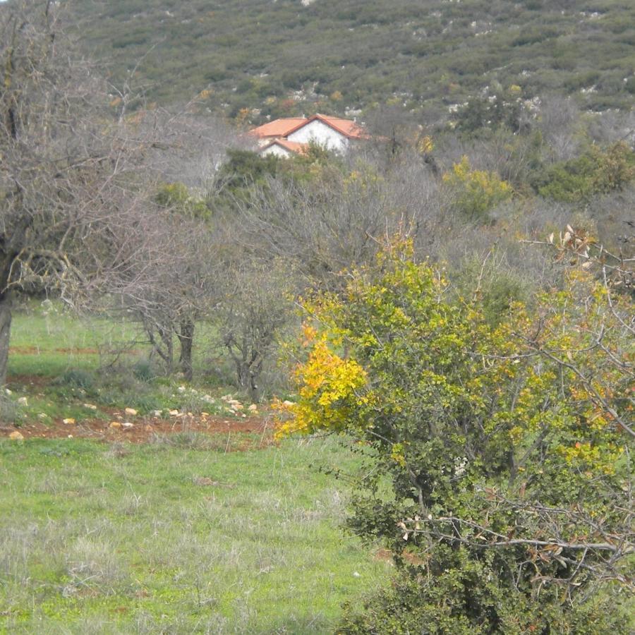 הוילה Stone House In A Quiet Landscape, Leonidion מראה חיצוני תמונה